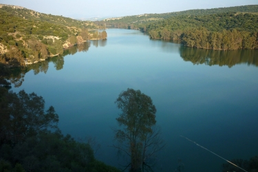 COLA DEL EMBALSE DE BORNOS